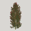 Tall Arbor with Green Leaves and Pink Flowers in Lush Foliage
