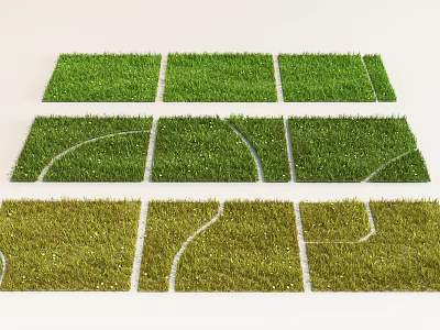 Green Grass Turf With Various Patterns And Curved Lines Arranged In Rows 3d model