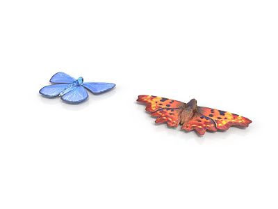 Two Vibrant Butterflies With Blue And Orange Spotted Wings On White Background 3d model