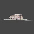 The Burned Car 3d model