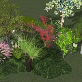 Vibrant Shrub Varieties in Lush Garden with Green Red and Pink Foliage