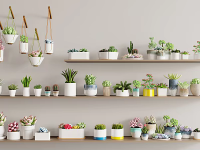 Modern potted fleshy potted plant 3d model