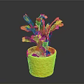 Potted Green Cactus Plant with Pink and Yellow Tips in Yellow Textured Pot