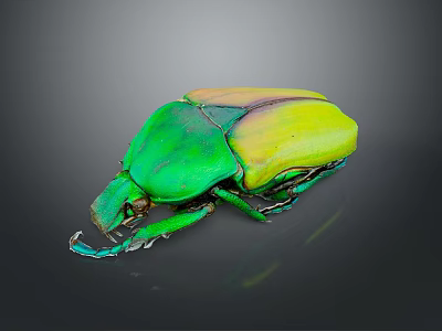 Shiny Green And Yellow Beetle With Glossy Body On Dark Background 3d model