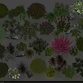 Various Colorful Flowers And Mixed Plants With Decorative Shrubs And Stones