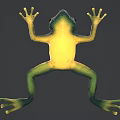 Vibrant Blue and Green Frog with Large Eyes Lying on Shiny Reflective Surface