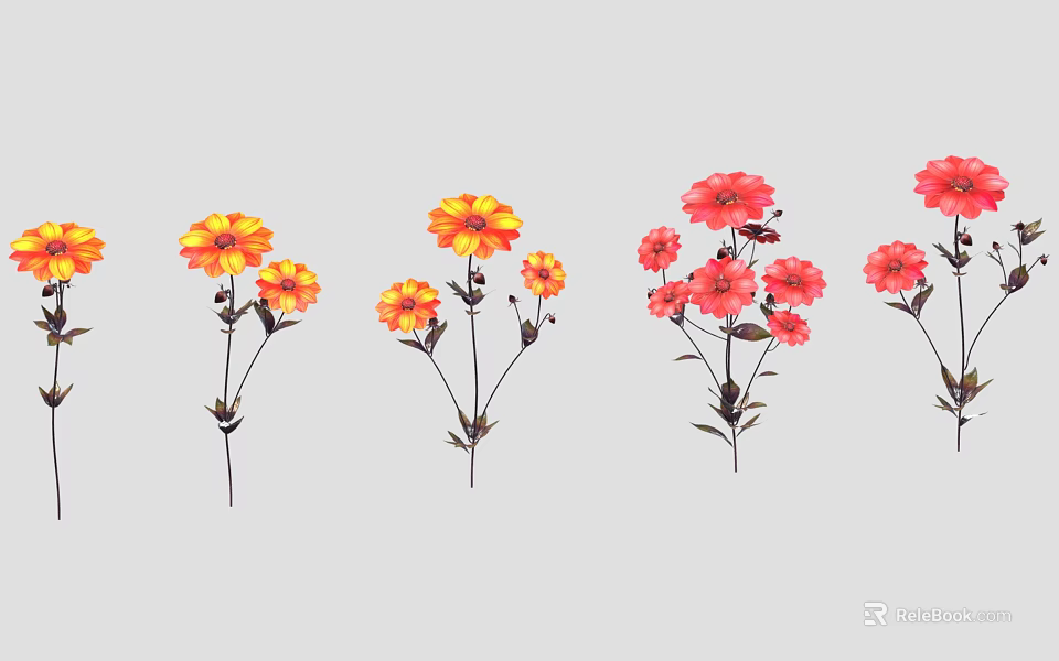 Colorful Yellow And Red Garden Flowers With Multiple Blooms On Slender Stems 3d model 