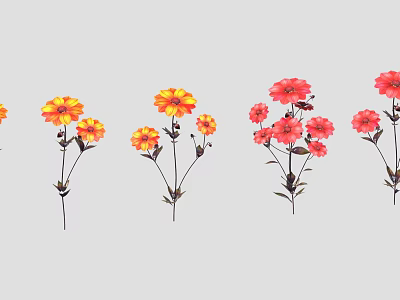 Colorful Yellow And Red Garden Flowers With Multiple Blooms On Slender Stems 3d model