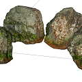 Natural Stone and Wood Elements in Decorative Arrangement with Mossy and Textured Surfaces