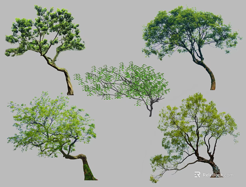 Arbor Trees With Various Shapes And Lush Green Foliage 3d model 