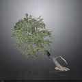 Realistic 3D Decorative Tree With Curved Trunk Textured Roots And Lush Green Foliage