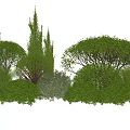 Diverse Shaped Green Shrubs Including Spherical and Conical Forms With Lush Foliage