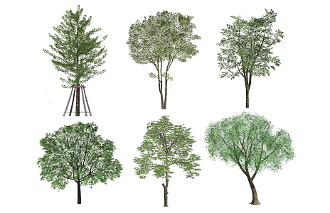 Modern Tree Landscape Tree 3d model