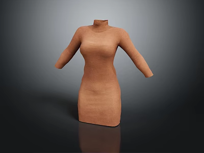 Brown Turtleneck Long Sleeve Dress With Simple Design And Slim Fit 3d model