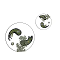 Circular Water Fountain with Bonsai Trees Small Steps and Reflective Water Surface