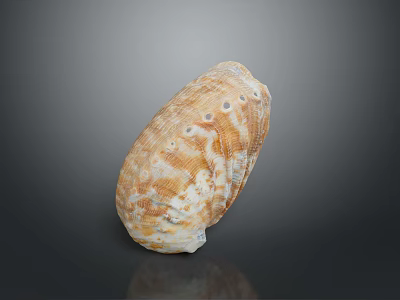 Shell Cartoon Pearl Pink Red Shell Mussel Clam Freshwater Pearl Seawater Pearl Nanyang Pearl 3d model
