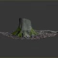 Garden Ornament Featuring Tree Stump With Exposed Roots Green Moss And Fallen Leaves
