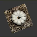 Fresh Small White Pumpkin Displayed On Dry Hay Bale With Gray Backdrop