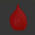 Red Lantern Shaped Edible Fruit With Textured Skin On Dark Background