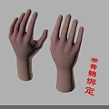 Detailed Human Hands 3D Model With Skeletal Rigging And Anatomical Features