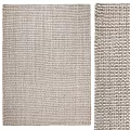 Modern Silent Rectangular Carpet 3d model