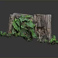 Natural Wooden Tree Stump with Green Vines and Stone Accents