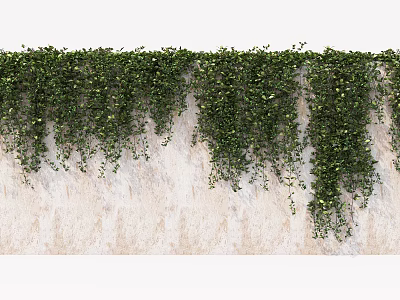 Lush Green Vines Hanging Down Over Textured White Wall Outdoor Natural Decor 3d model