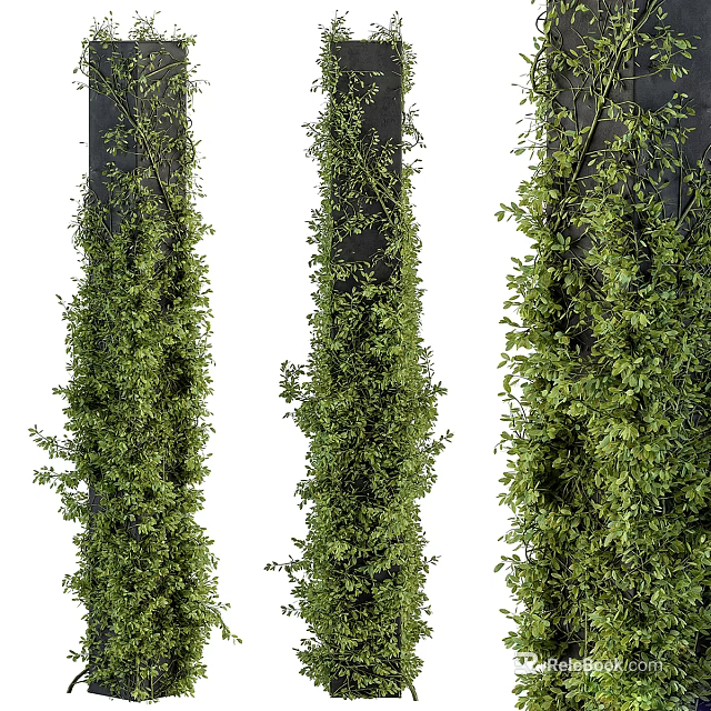 Lush Green Vines Growing On Dark Vertical Columns Against White Background 3d model 