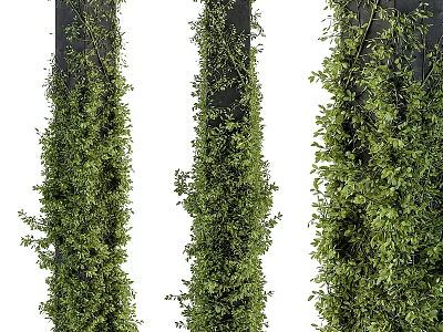 Lush Green Vines Growing On Dark Vertical Columns Against White Background 3d model