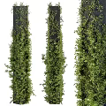 Lush Green Vines Growing On Dark Vertical Columns Against White Background 3d model