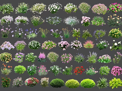 Diverse Colorful Flowers and Plants with Various Species and Garden Blooms 3d model
