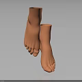 Detailed Human Foot Organ Model With Anatomical Structure And Realistic Design