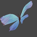 Beautiful Blue Purple Gradient Butterfly With Intricate Wing Patterns On Gray Background 3d model