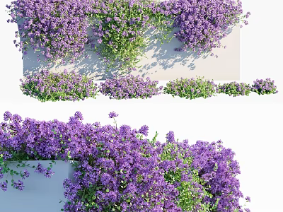 Lush Purple Flowering Vines With Green Leaves In Various Decorative Displays 3d model