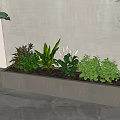 Potted Plants In Rectangular Gray Planter With Various Green Indoor Decorative Foliage 3d model