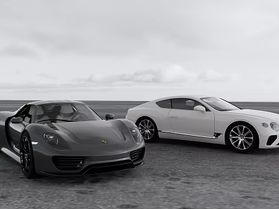 Black And White Luxury Sports Cars Parked On Open Road With Cloudy Sky Background 3d model