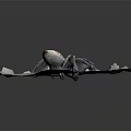 Detailed Spider Model With Red And Black Abdomen On Textured White Surface
