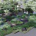 Lush Garden With Stone Pathway Various Green Plants And Trees