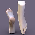 Man's Realistic Feet 3D Model with Light Color and Gray Background