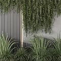 Green Plant Wall With Hanging Vines And Black Slatted Panels On Concrete Background