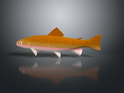 Orange Spotted Trout With Pink Underbelly On Gray Background And Reflection 3d model