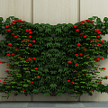 Modern Green Plant Wall Green Plant Potted Plant 3d model