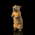 Adorable Brown Hamster Standing On Hind Legs Against Black Background With Shiny Surface