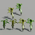 Creative Character And Creature Plant Inspired Designs With Green Leaves And Unique Shapes