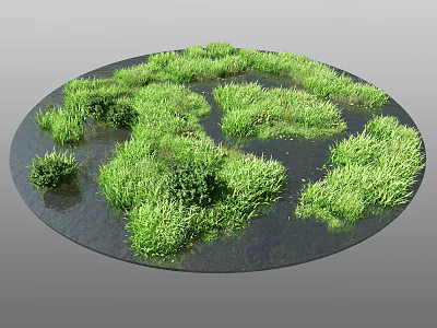 Lush Green Aquatic Flowers And Plants Growing In Circular Water Area 3d model