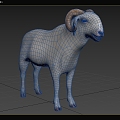 World's Most Expensive Sheep Senegal Radum Sheep Animal Creatures 3d model