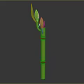 Tall Green Bamboo with Natural Joints and Fresh Leaves at the Top