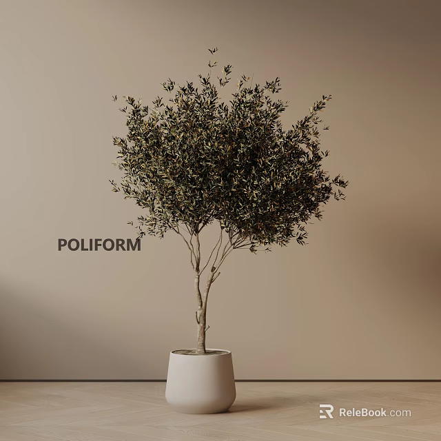 Elegant Potted Olive Tree in White Planter against Beige Wall with POLIFORM Brand 3d model 