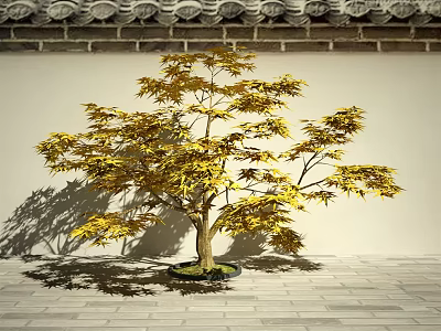Golden Leaf Arbor With Traditional Tile Roof And Stone Pavement Shadow 3d model
