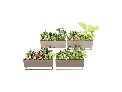 Modern Flower Box Transfer Flower Box Plant Flower Box model